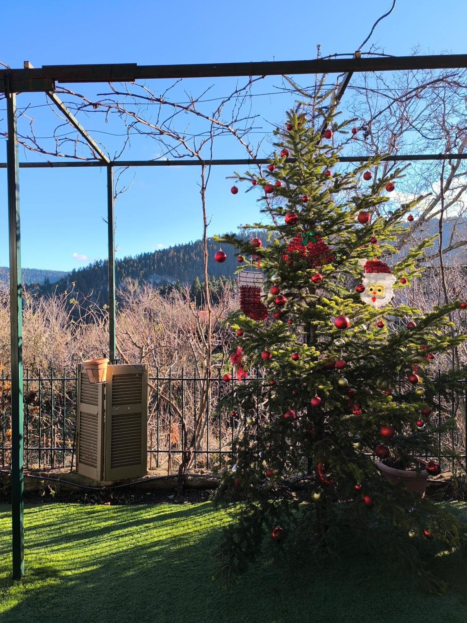 Herme's Hut * Pavliani